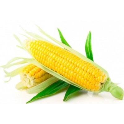 Семена кукурузы сахарной